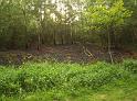 Waldbrand Bergisch Gladbach Bensberg P086
